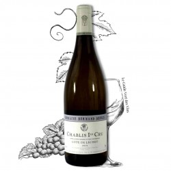 Chablis 1er Cru – Côtes de Lechet - Domaine Defaix