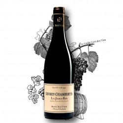 Gevrey-Chambertin – Les Jeunes rois – Domaine Bouvier