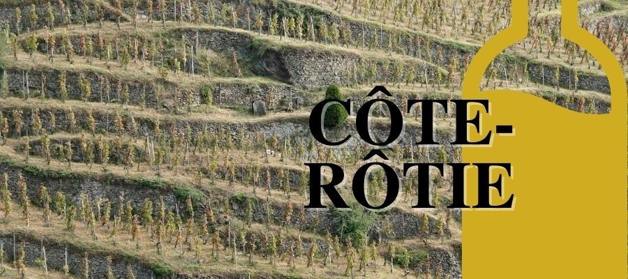 Le Côte-Rôtie : Le plus prestigieux vin rouge de Rhône nord