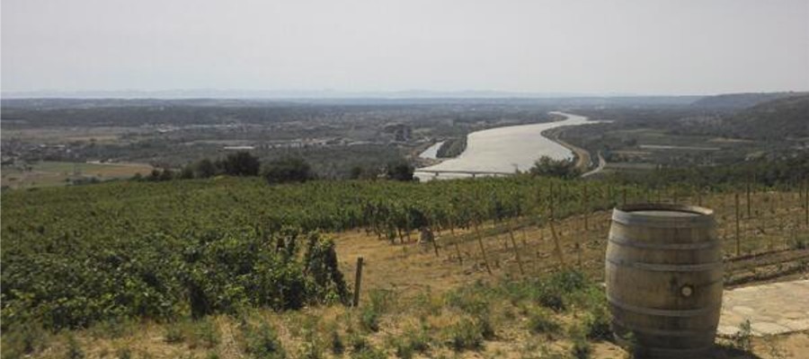 Les meilleurs domaines de la vallée du Rhône nord