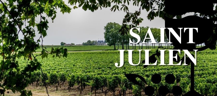 Les vins "Coup de Coeur" de Saint-Julien