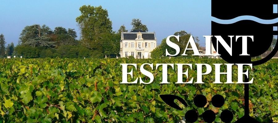 Les vins "Coup de Coeur" de Saint-Estèphe à Bordeaux