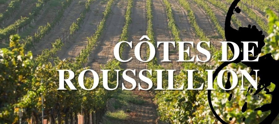 Les vins de Côtes-du-Roussilon