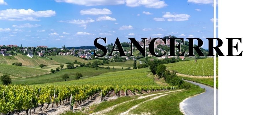 Vins de Sancerre en Val de Loire