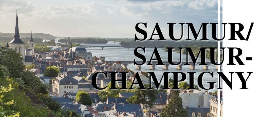 Vins Saumur blanc et Saumur Champigny