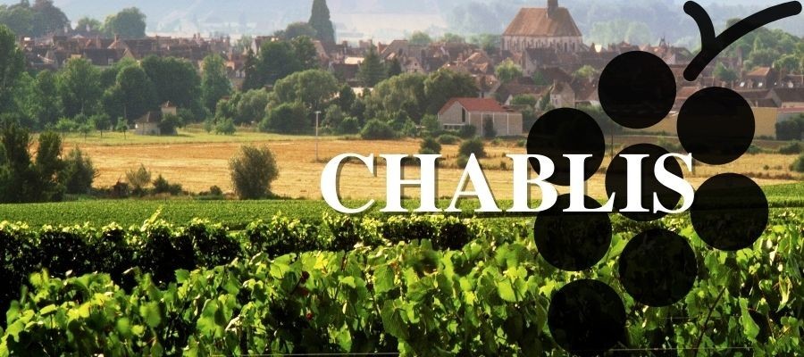 Les vins blanc de Chablis en Bourgogne