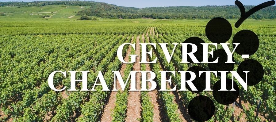 Les grands vins rouge de Gevrey-Chambertin