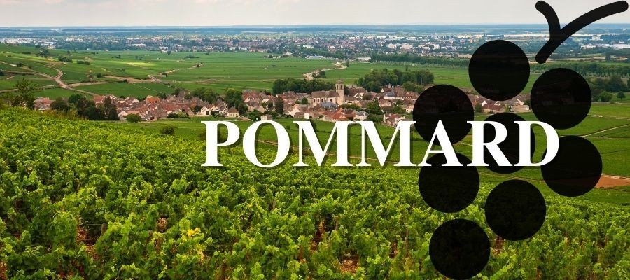 Le POMMARD est une des AOC reines des vins de Bourgogne