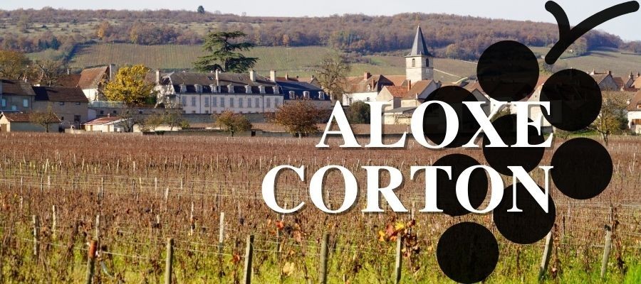 Vins rouges d'ALOXE-CORTON en Bourgogne